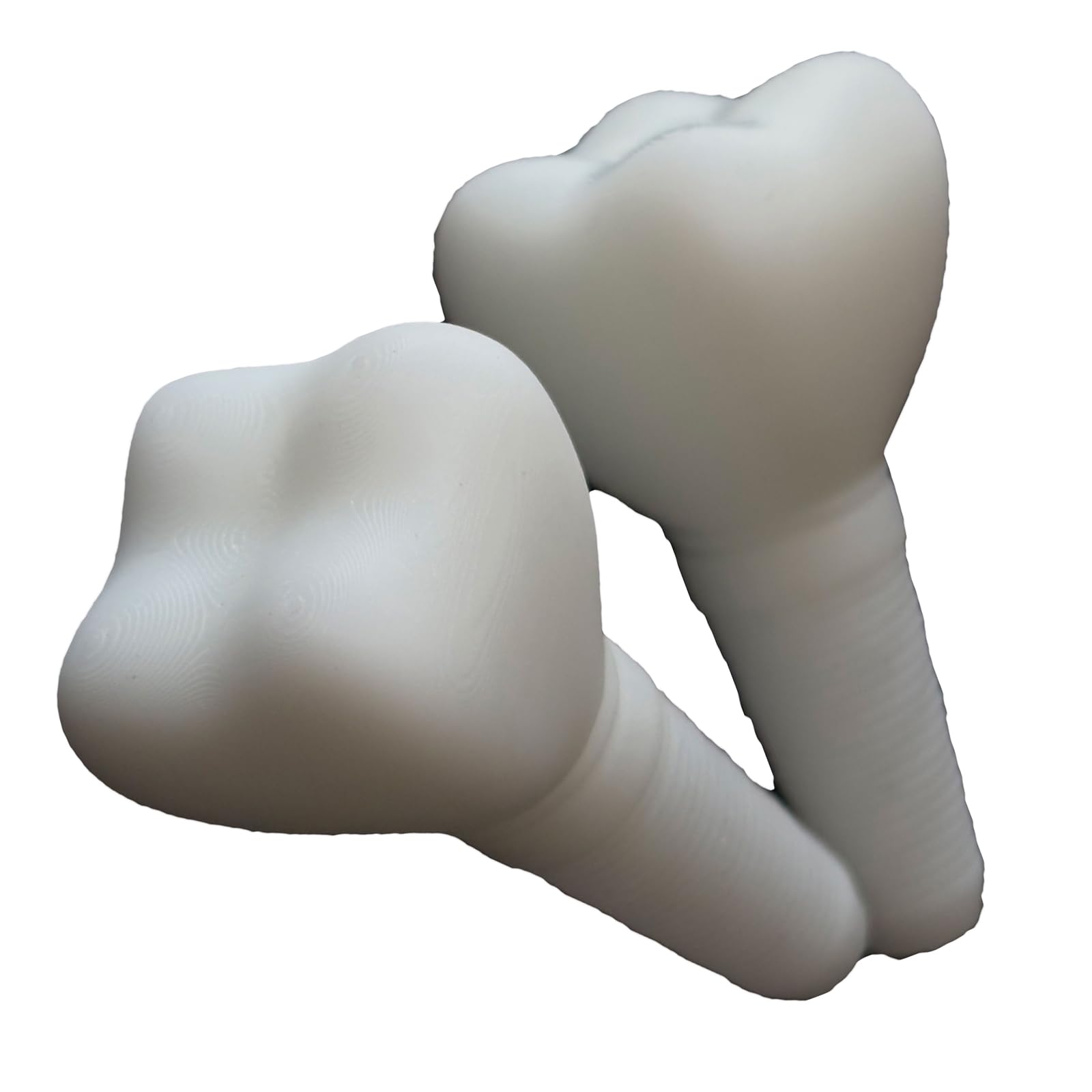 YRQMGSF 3D-Printed Dental Implant Patient-Clinician Communication Model Crown Abutment Model for Study Teach,2 pcs