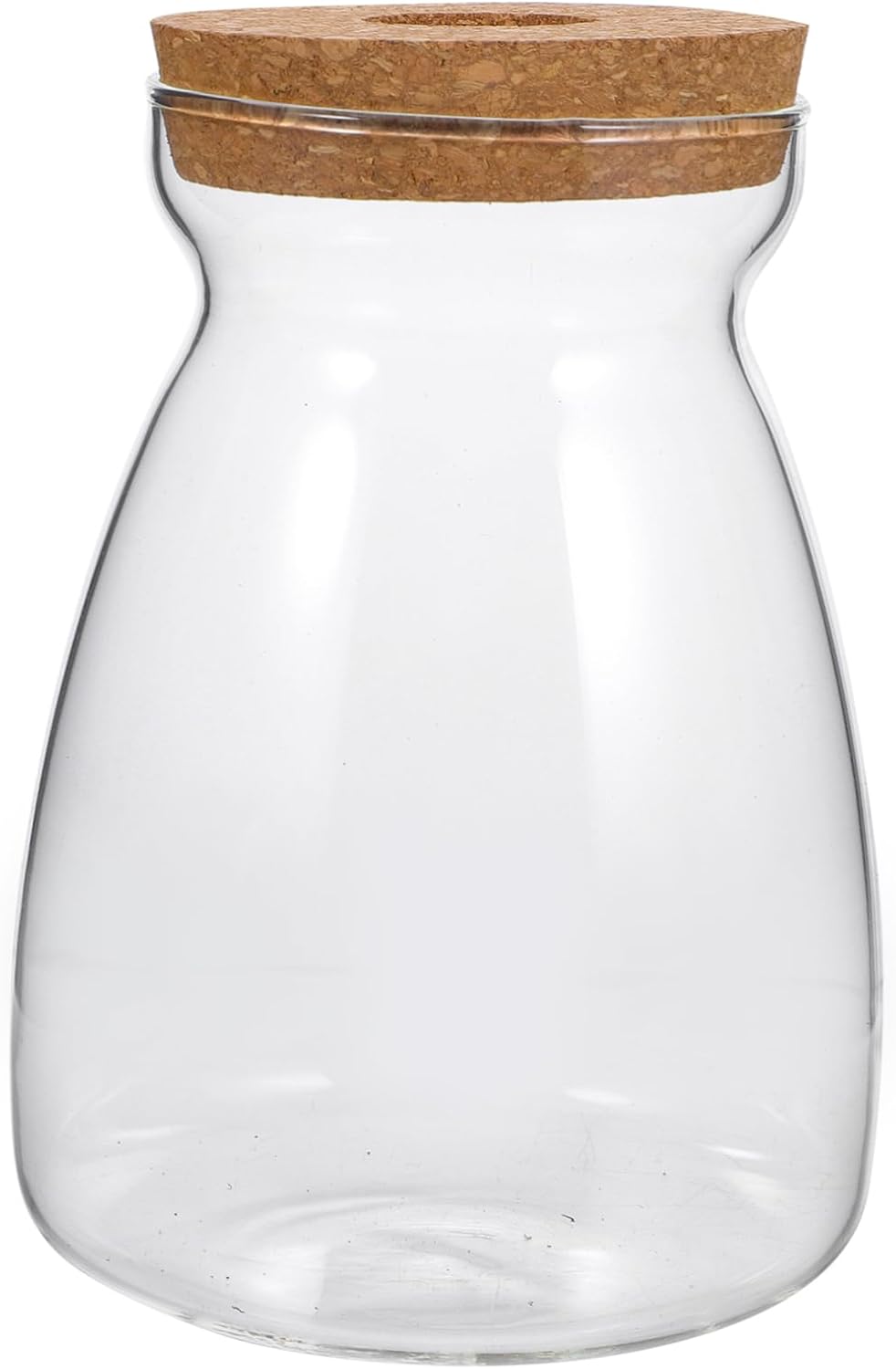 BESPORTBLE Large Glass Terrarium Jar with Lid for Hydroponic Succulent Plants Indoor Miniature Garden Container Modern Transparent Plant Vase for Home Decor