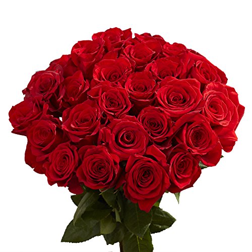 Red Roses- 50 Fresh Cut Flowers- Beautiful Gift #TOP2