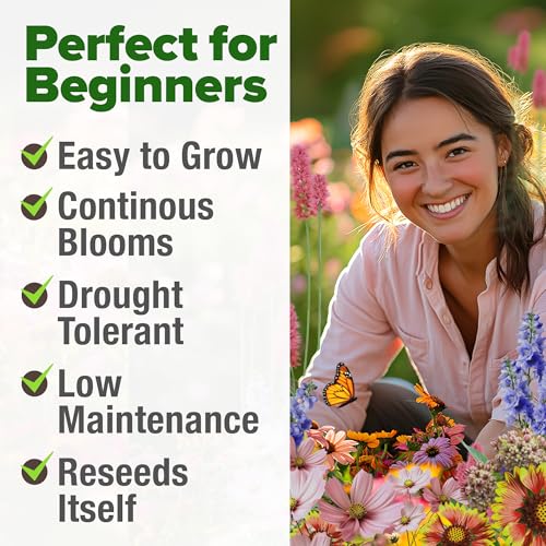 24% Off HOME GROWN Premium Monarch Butterfly Wildflower Seeds Mix - Image 4