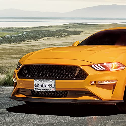 1Pack Bling Rhinestone License Plate Frame For Women，Diamond Sparkly License Plate Frames| Stainless Steel Frames & Over 1200 Pcs Finest 14 Facets Black Glass Crystals Premium Diamond+Giftbox (White) #TOP5