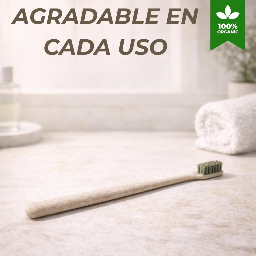 500 unidades de Kit Dental Bio Amenities Hotel – Set de Higiene Bucal Ecológico para Hoteles, Casas Rurales y Alojamientos Turísticos | Productos de Acogida Sostenibles para Habitaciones y Huéspedes