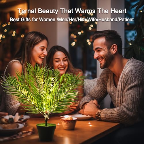 Image of 19.6 inch Artificial Twinkling Tree Light, USB & Battery Operated LED Plant Lamp for Bedroom Office Bar Office Party Decor, Ideal Christmas Birthday Mothers Day Housewarming Gifts for Men Women