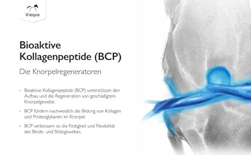 VetVital Viequo OrthoHyl HA Plus Kollagen | 1 l | Ergänzungsfuttermittel für Pferde | Zur Förderung der Beweglichkeit und Belastbarkeit der Gelenke | Für Pferde jeden Alters