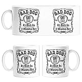 Diver Tazas