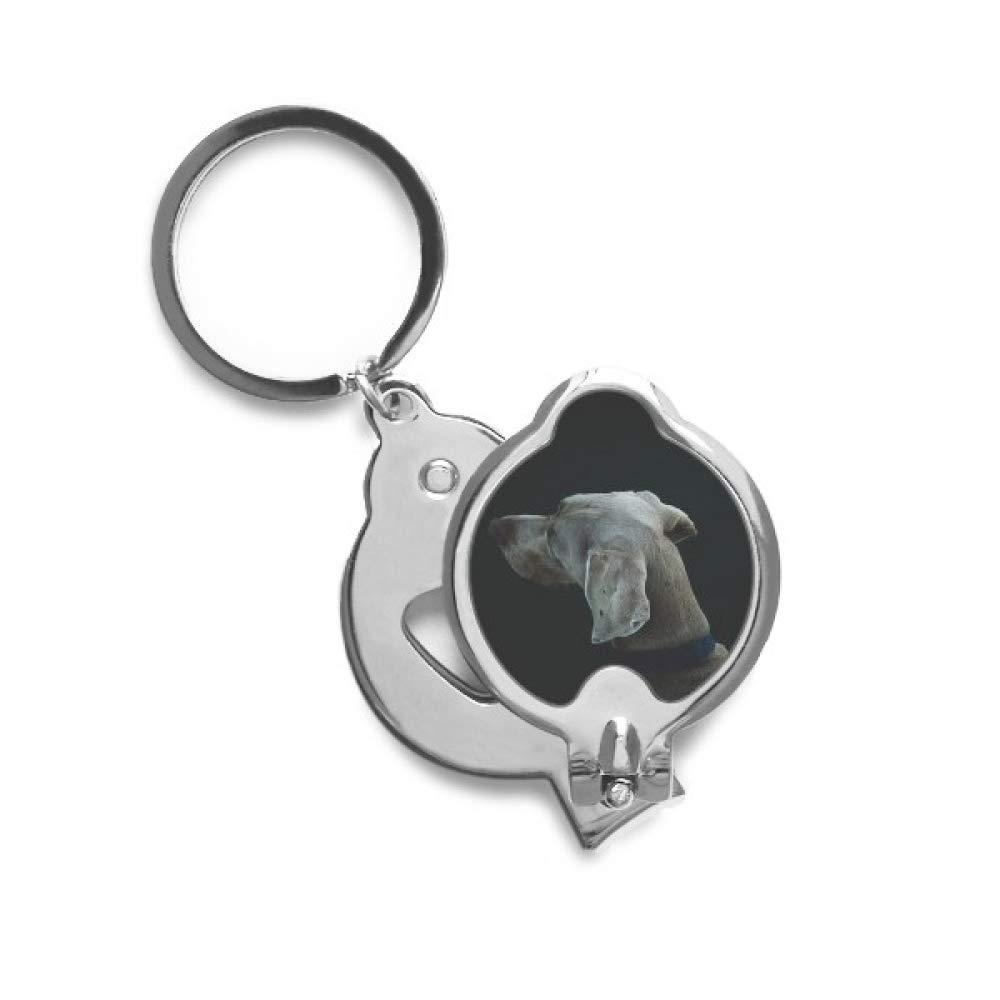 Cortador de uñas para perro y mascotas DIYthinker Lonely Night 4