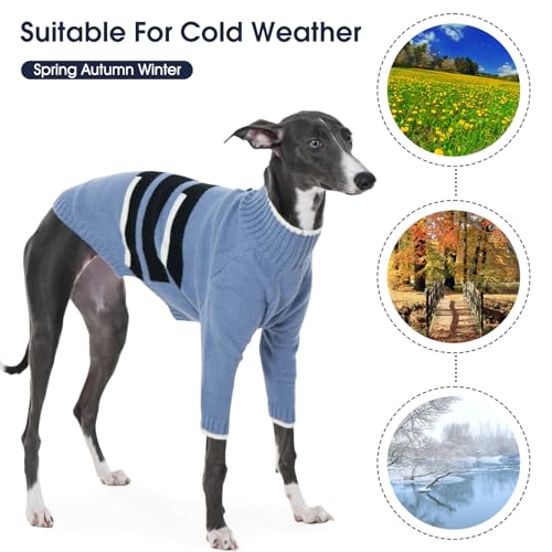Chandail lévrier extensible bleu pour éviter les frissons en hiver