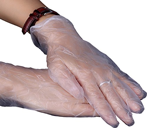 GREAT GLOVE Vinyl Powder Free General Purpose, Foodservice Glove - //coolthings.us
