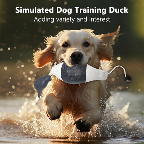 WideSmart Dummy Hundetraining,Hundetraining-Enten Dummy Hund Hundetraining Zubehör Apportierdummy Dummy Hundetraining Wasserspielzeug Hund Hunde Dummy Hunde
