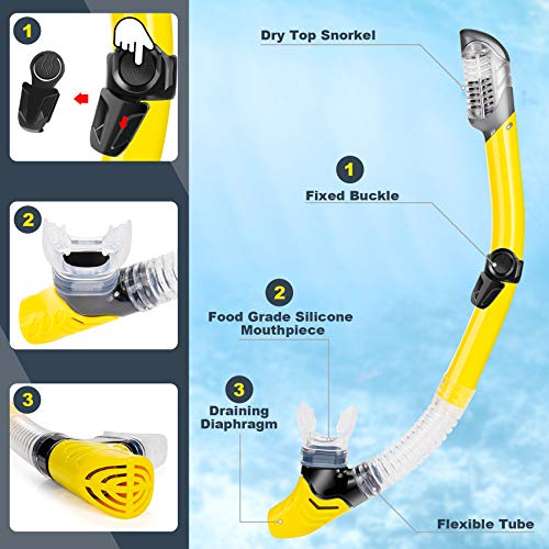 image for ZEEPORTE Mask Fin Snorkel Set with Adult Snorkeling Gear, Panoramic Vi