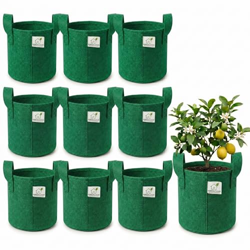 Image of 400 GSM Geo Fabric Round Grow Bags 15x15 Inch with Handle, Green Planting Bags for Terrace and Kitchen Gardening Pack of 10