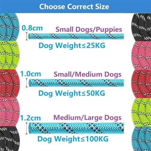 Laisse solide pour chien avec longe verte 150cm et finitions premium - 7