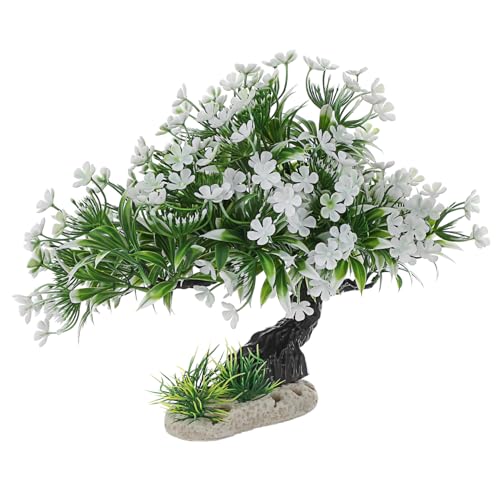 Anneome ͋[     U   i   A   f    vX`bN  u  vX`bN A