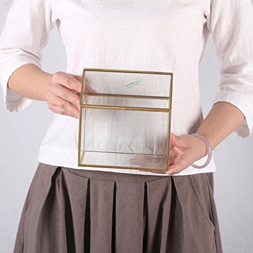 Ncyp Small 6.1X6.3X4.33 Inches Handmade Glass Terrarium With Swing Lid, Tabletop Decor Clear Planter, Gold House Shape Flower Pot For Plants Succulents, Diy Centerpiece (No Plants) #TOP1