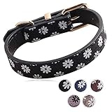 🐶 Collar de cuero para perros: hecho de material de cuero de alta calidad, duradero y suave, mantiene un uso duradero y no daña el pelaje y la piel del amigo peludo.