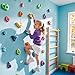 TOPNEW 32 Rock Climbing Holds Multi Size for Kids, Adult Rock Wall Holds Climbing Rock Wall Grips for Indoor and Outdoor Playground Play Set
