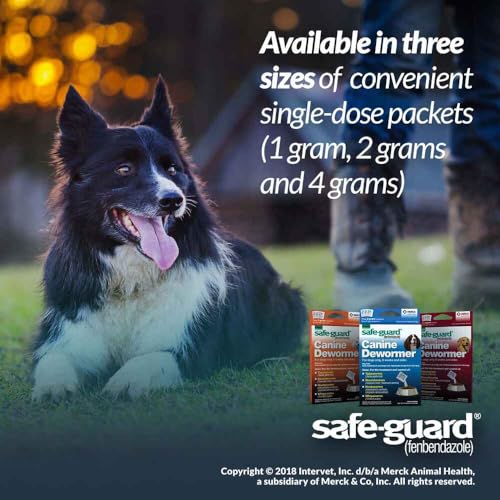 Pro-Sense J7162-1 Safe-Guard 4, Canine Dewormer For Dogs thumb #6
