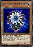 YU-GI-OH! Aufblühende Blumenzwiebel 1. Auflage SDCL-DE020 | Common | Deutsch | NM