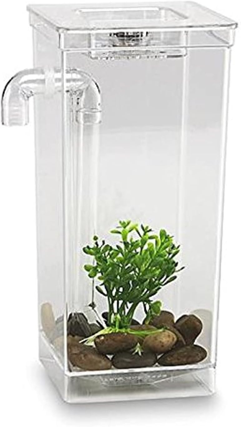As Seen on TV 56028 My Fun Fish Tank, 4 3/4 x 6 x 10-Inch