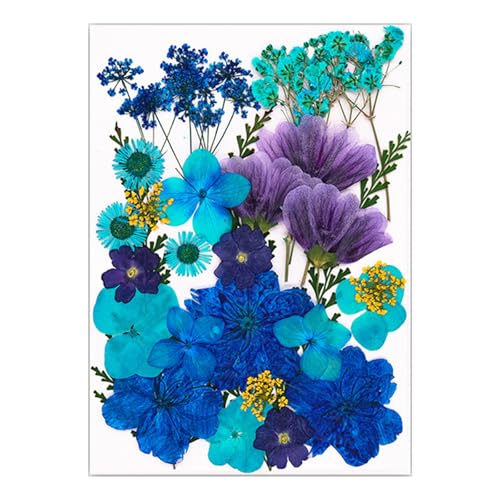 VRԃhCt[tZbgXNbvubLOWG[쐬tHgt[dbP[X葕t[AWg