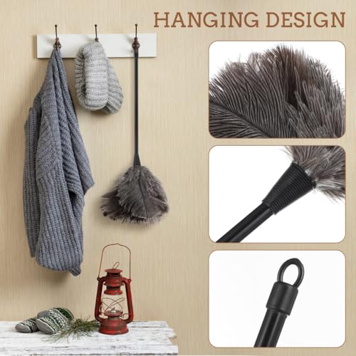 Image of iplusmile Ostrich Duster with Long Handle Lightweight Natural Cleaning Tool for Dusting Home Office Car Kitchen