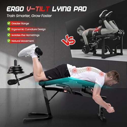 Image of ANCHEER Leg Extension and Curl Machine, Adjustable Leg Workout Machine for Lower Body Training, 880LB Capacity Plate Loaded Leg Developer for Quads, Hamstrings & Glutes, Home Gym Equipment