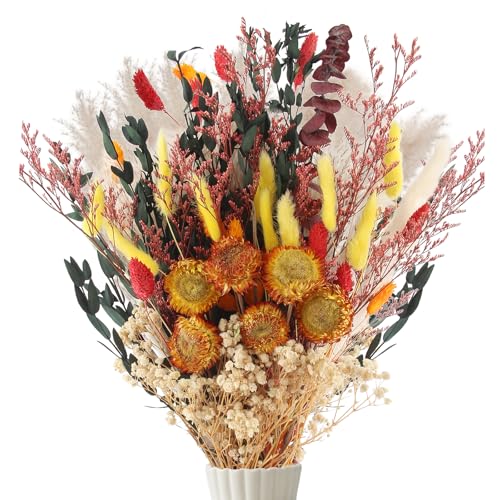Xbessc 75 Stück Trockenblumen Herbst Natürliche Pampasgras Trockenblumen Deko Mehrfarbige...