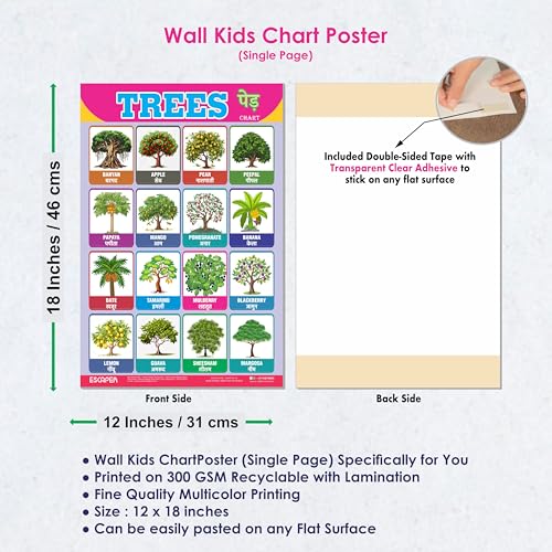 Image of ESCAPER Trees Educational Charts for Kids Learning (11.5 x 17.5 Inches), Study Material, Learning Books, Educational Posters