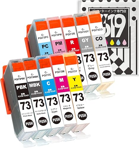 Amazon.co.jp: PGI-73 Canon Compatible Ink Cartridges, 10-Color Set