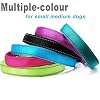 Reflective Slip Dog Collar, Loop Dog Collar for 20-38 lbs Dogs Nylon Collars with Soft Padded for Dogs Training (5/8 W x 15.5 L, Black)