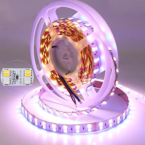 Tira LED RGB+CCT 16.4ft 24V SMD5050 Doble Fila miniatura 2