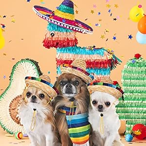 Tudomro 20 Pieces Dog Sombrero Hat Mini Sombrero Hat Dog Mexican Costume Pet Straw Hat for Small Pets Puppy Cat Chihuahua Decorationvivid Style  Cucciolini Doodles Tudomro 20 pieces dog sombrero hat mini sombrero hat dog mexican costume pet straw hat for small pets puppy cat chihuahua decorationvivid style   cucciolini doodles