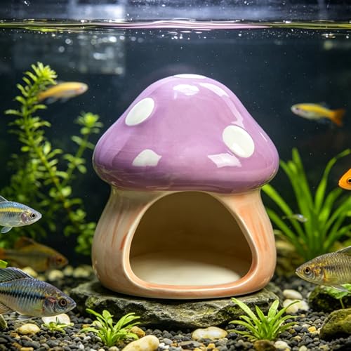 Image of AnRui Ceramic Betta Fish Tank Accessories Decor Cute Mushroom House Aquarium Decoration Hideout Cave Ornament for Small Fish, Shrimp, Goldfish and Reptiles (Purple)