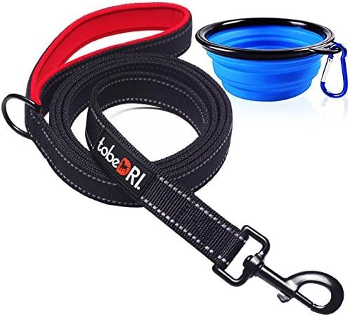 tobeDRI Heavy Duty Dog Leash - Comfortable Padded Handle, 6 ft Long - Dog Training Walking Leashes for Medium Large Dogs with A Free…