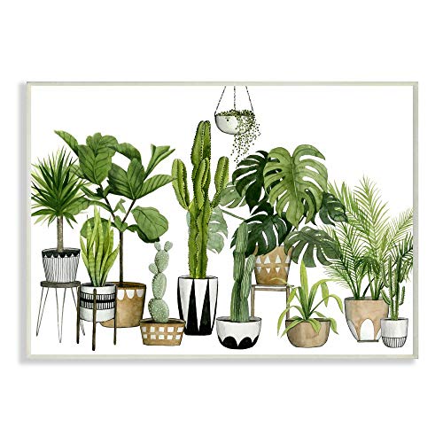 Stupell Industries Boho Plant Scene with Cacti and Succulents in Geometric Pots Watercolor, Design by Grace Popp Wall Art, 13 x 19, Green