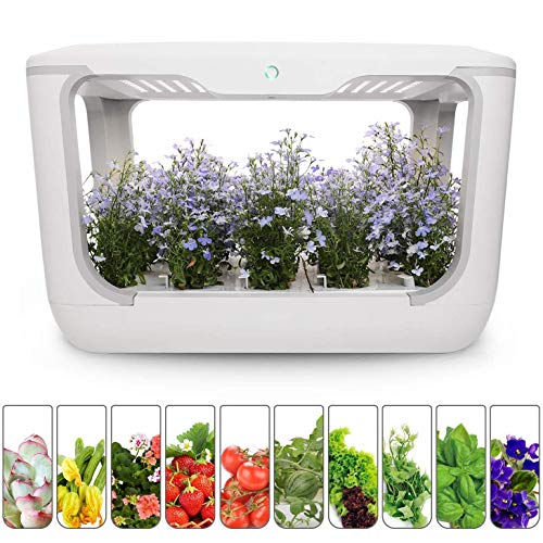 CRZJ Indoor Herb Garden Starter Kit, Hydroponics Growing System, Full-spectrum LED Lights, Grow Gardening Planter for Seed Basi, Cilantro, Parsley, Sage, Thyme