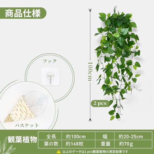 Vixplorn 観葉植物 オウゴンカズラ 吊り下げ 壁掛け フェイクグリーン 全長約100cm 人工観葉 おしゃれ インテリア飾り 室内 リビング オフィス キッチン 飾り用 [2]