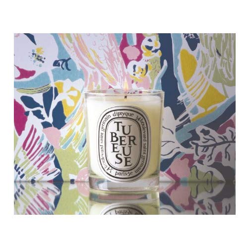 Amazon.com: Diptyque Scented Candles Duo Bundle - Baies