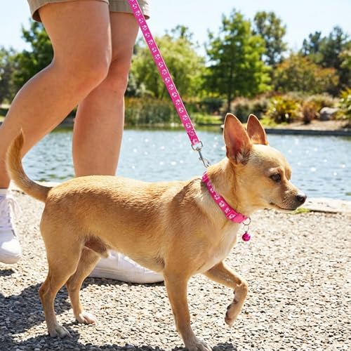 3 Stück Hundehalsband und Leine Set, Verstellbares Hundehalsband, Welpenhalsbänder mit Leine Set, Pfotenabdruck, Schnellverschluss, Haustier Halsband für Hunde, Katzen (Rosa, Schwarz, Blau