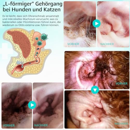 JSBNQRMZ Ohrmilbenöl Hund & Katze 22ml,Ohrentropfen für Hunde,Milbenspray Hunde Sanfte Pflege bei Ohrmilben,Ohrentropfen Milben,Juckreiz im Ohr,Ausfluss,Ohrentropfen Milben,Ohrenreiniger