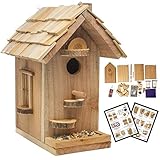SparkJump Premium Birdhouse Cedar Wood Craft Kit – Bird Feeder with Customizable Perches – DIY Woodworking Building Kit for Kids and Adults.
