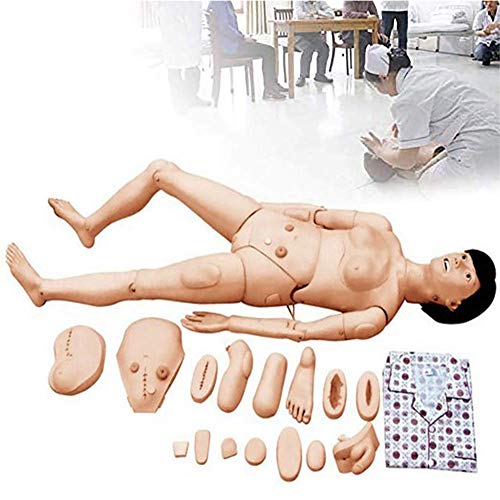 Mannequin de formation médicale pour l'enseignement des soins infirmiers - Modèle en PVC pour les soins aux patients et l'apprentissage didactique en école d'infirmières
