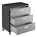 Manhattan Comfort Fortress Collection Convenient Durable Mobile Garage Chest Great for Tools and Supplies, Dark Charcoal Gray/Silver