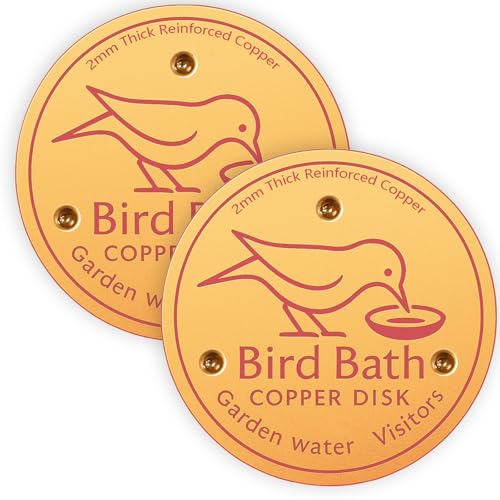 Bird Bath Copper Disk Purification - 4