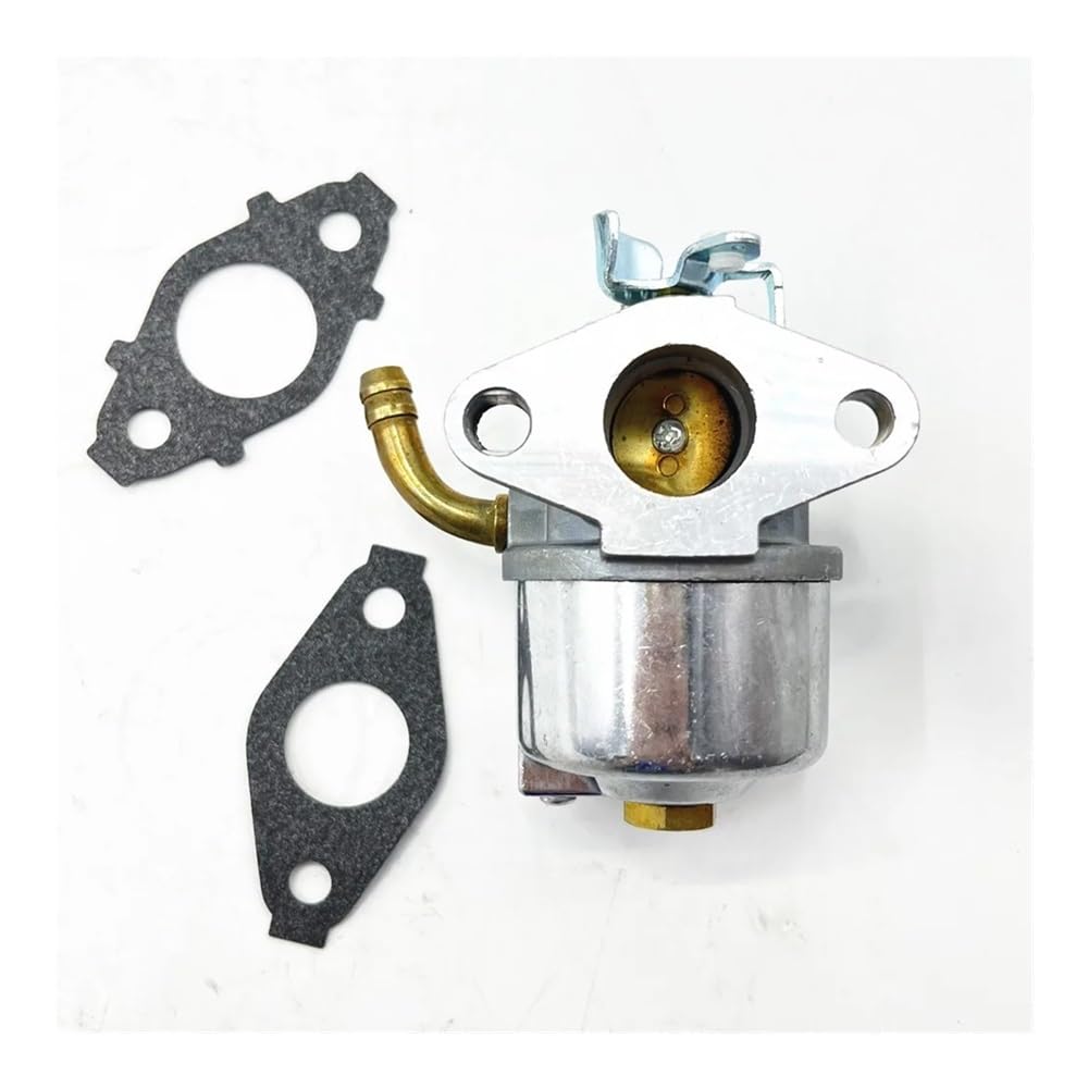 Carburateur pour BS 798917 réparer fuite essence moteur 798918