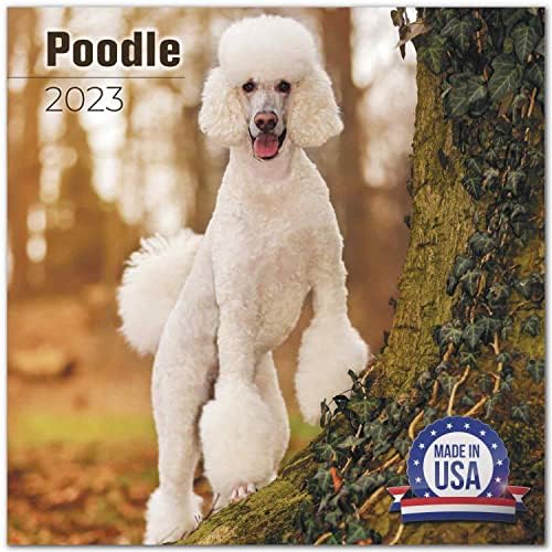 How Were Poodles Made