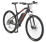 PROPHETE Graveler E-MTB 29' – 250W Hinterradmotor, 100 km Reichweite, 8-Gang...