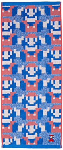  tFCX^I CV }I Ghp^[ hbg}I 4485010000 33×80cm