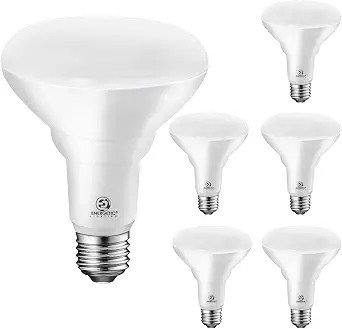 Energetic 6 Pack LED Recessed Light Bulbs BR30, 1100 Lumens, 85W Equivalent, Dimmable, Daylight 5000K, Indoor Flood Lights for Recessed Cans, UL Listed