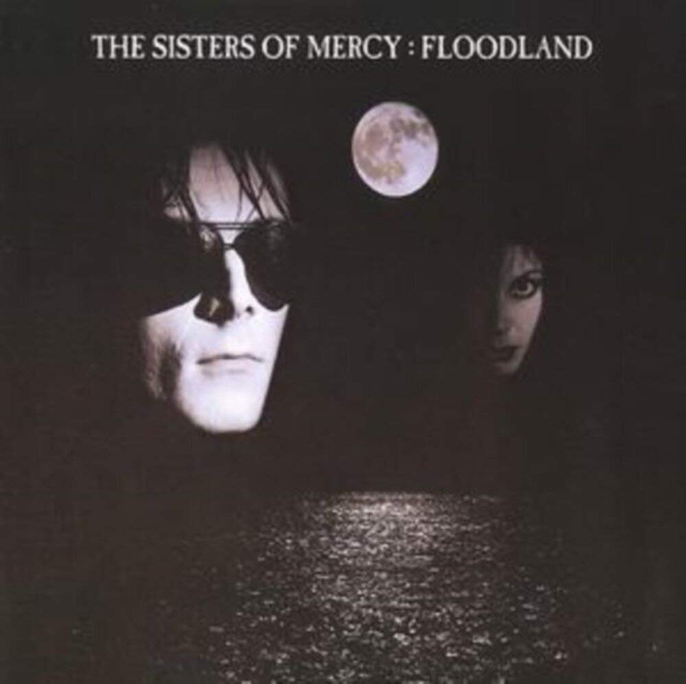 Amazon.co.jp: Floodland (Dig): ミュージック